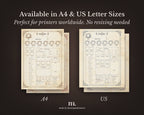 D&D 5e Character Journal Bundle Printable | Medieval Caslte Edition