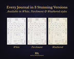D&D 5e Character Journal Bundle Printable | Royal Griffin Edition