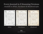 D&D 5e Character Journal Bundle Printable | Ancient Dragon Edition