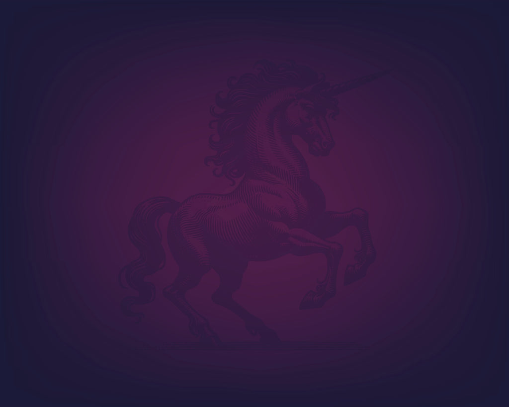 D&D 5e Character Journal Bundle Printable | Mystic Unicorn Edition