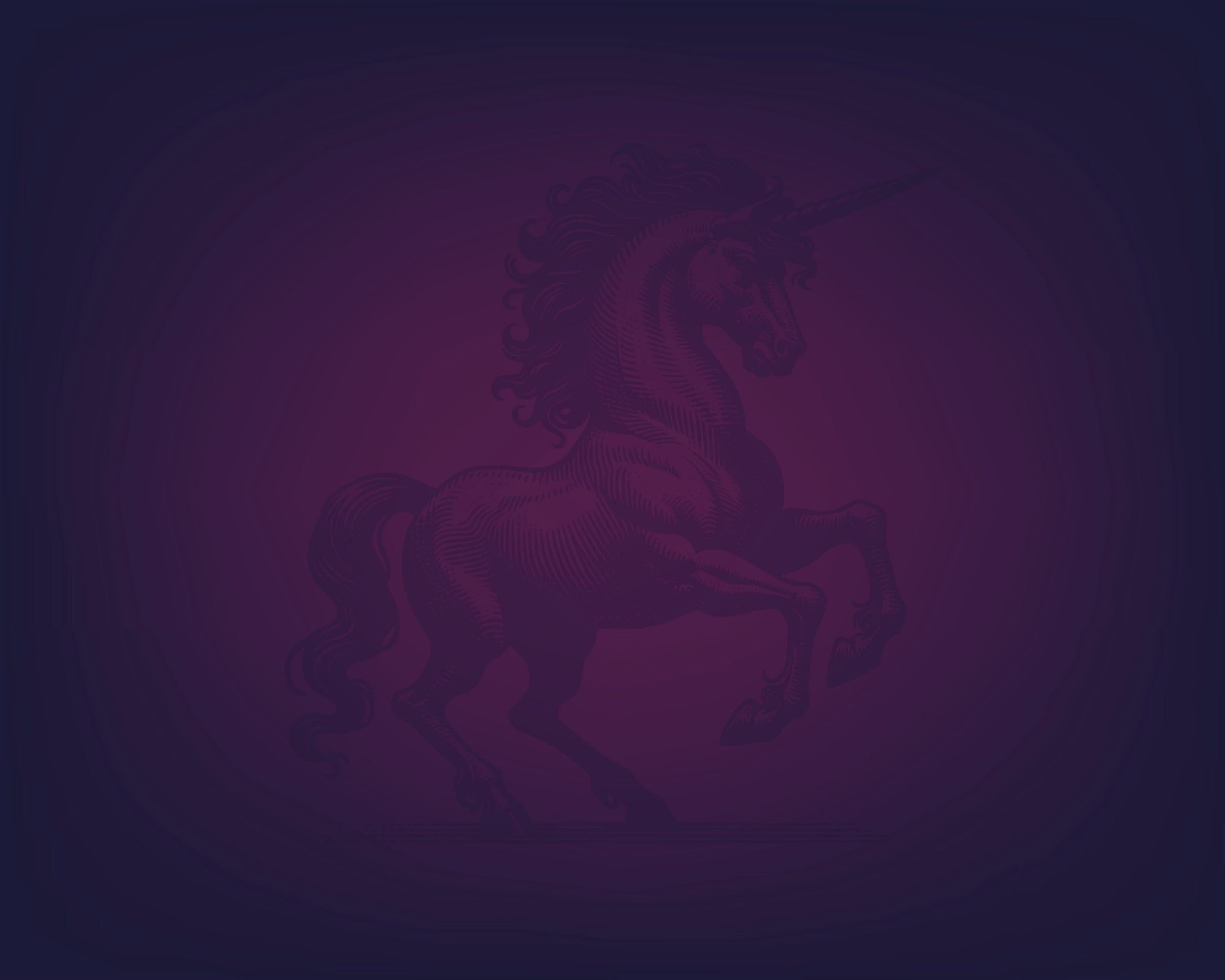 D&D 5e Character Journal Bundle Printable | Mystic Unicorn Edition